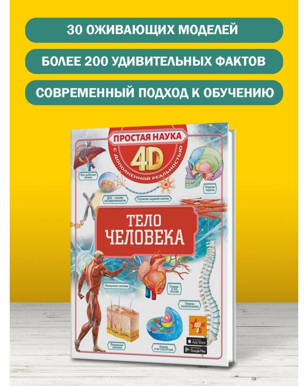 Тело человека