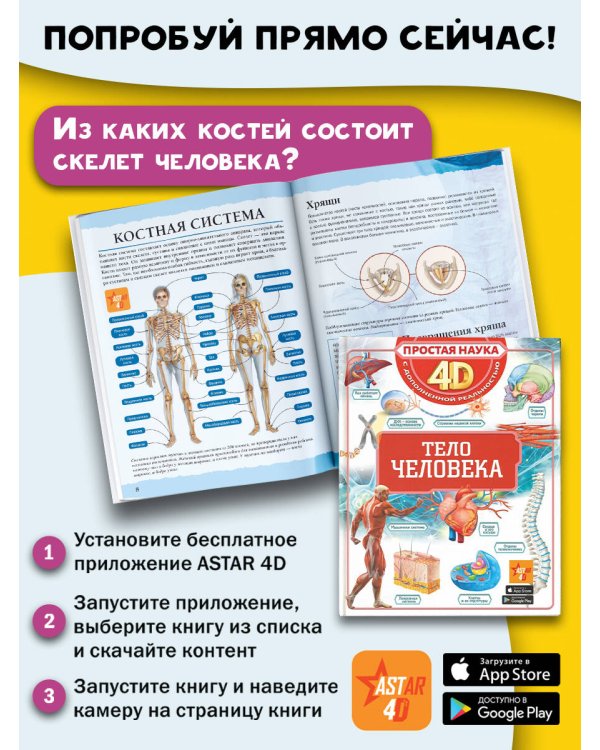 Тело человека