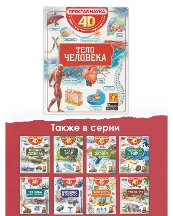 Тело человека