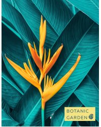 Тропический цветок. Тетрадь на кольцах, А5, 100 л., с цветными разделителями, зол. фольга