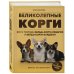 Великолепные корги. Все о породах вельш-корги-пемброк и вельш-корги-кардиган Великолепные корги. Все о породах вельш-корги-пемброк и вельш-корги-кардиган