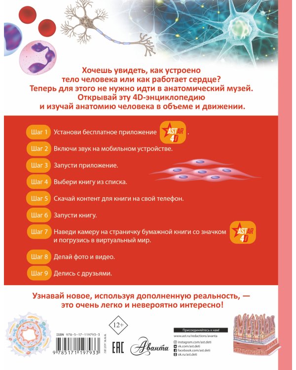 Тело человека