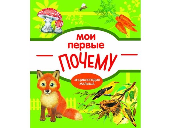 Мои первые ПОЧЕМУ? / Е. Колузаева. - 2019, М. : Стрекоза. - (Энциклопедия малыша). - ISBN 978-5-9951-3865-5 (7Б)