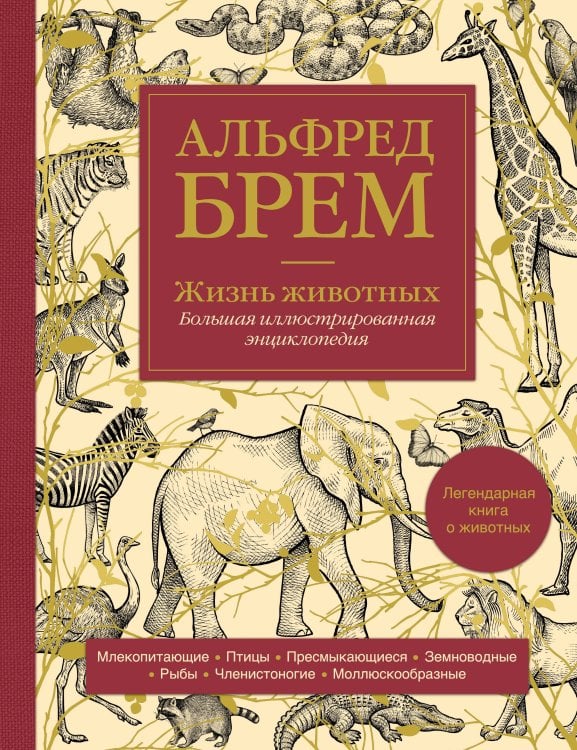 Подарочные издания. Энциклопедии А.Брема и Ж.Фабра Жизнь животных. Большая иллюстрированная энциклопедия