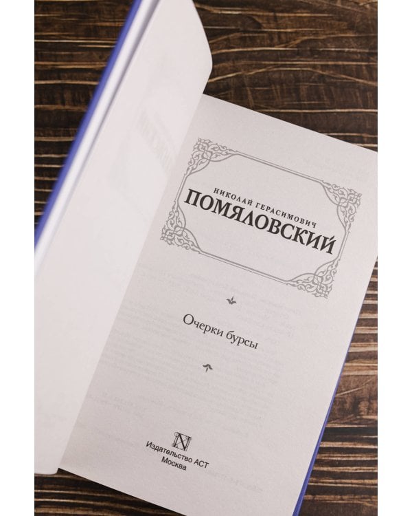 Очерки бурсы