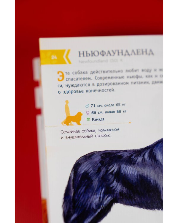 Породы собак. Определитель