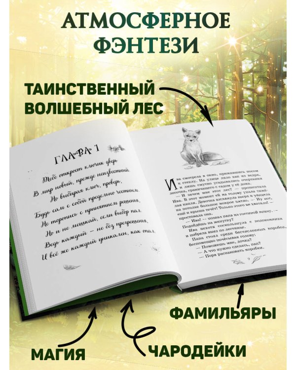 Магия четырех стихий. Девочка по имени Ива (#1) (кинообложка)