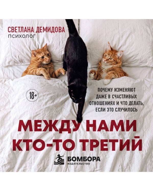 Дополнительное изображение книги «Между нами кто-то третий. Почему изменяют даже в счастливых отношениях и что делать, если это случилось»