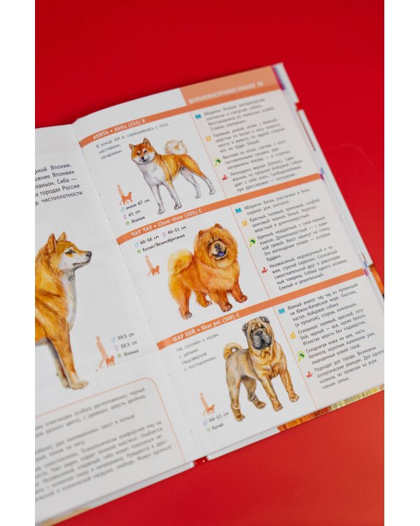 Породы собак. Определитель