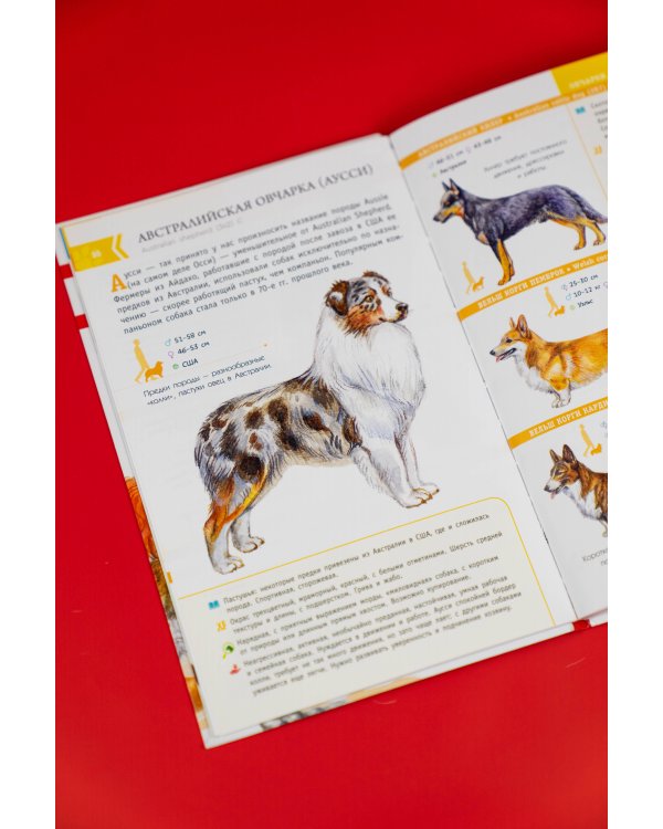 Породы собак. Определитель