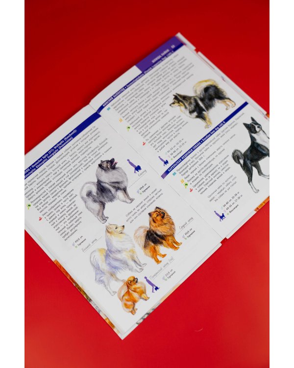 Породы собак. Определитель