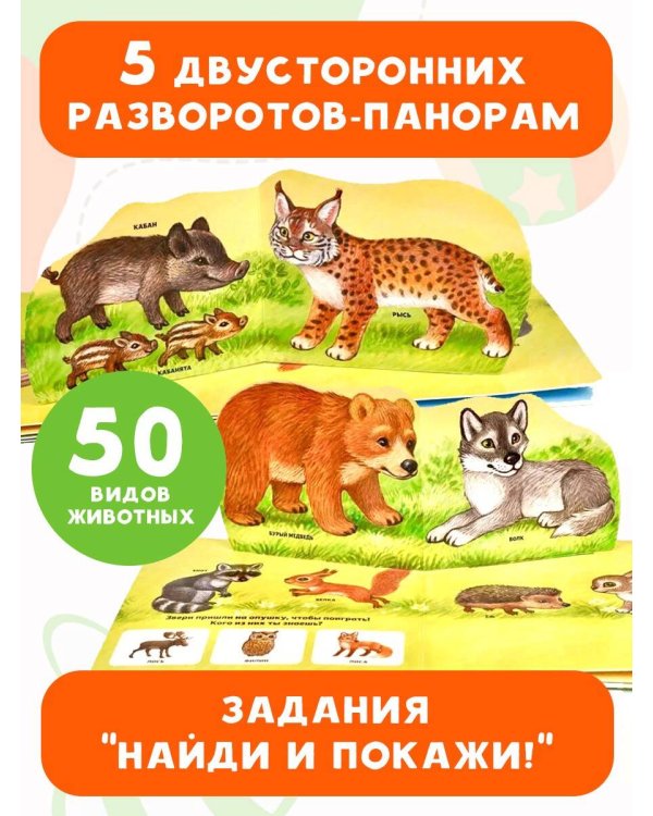 В зоопарке
