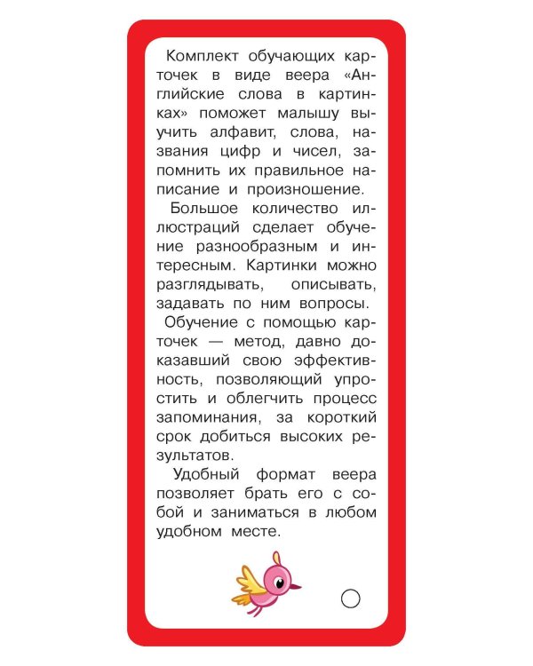 Английские слова в картинках