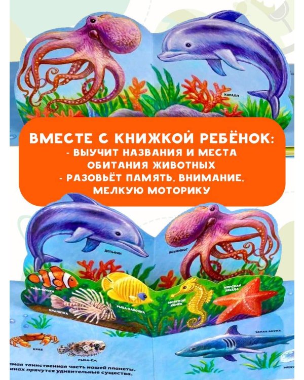 В зоопарке