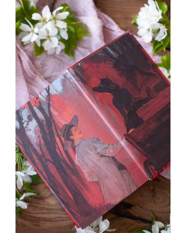 Набор из 2 книг: Вечные истории. Young Adult: Унесенные ветром. Том 1, Том 2