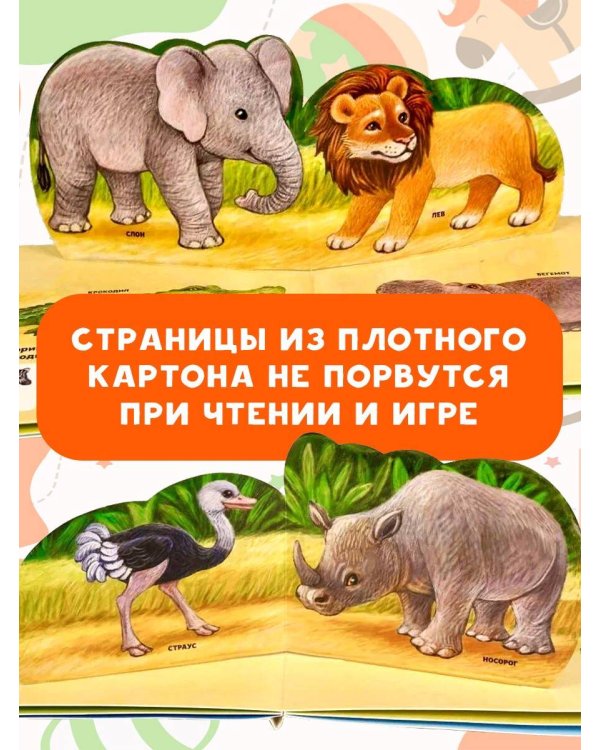 В зоопарке
