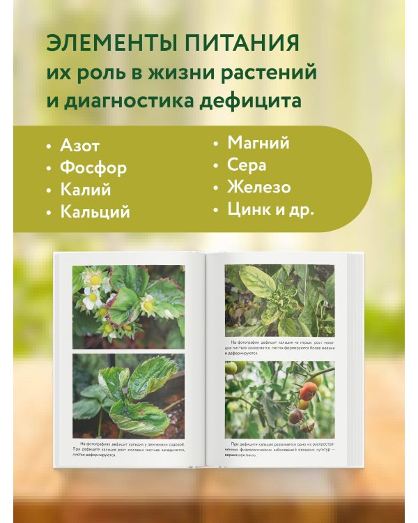 Как вырастить рекордный урожай. Анализ почвы, подбор питания, сезонный уход