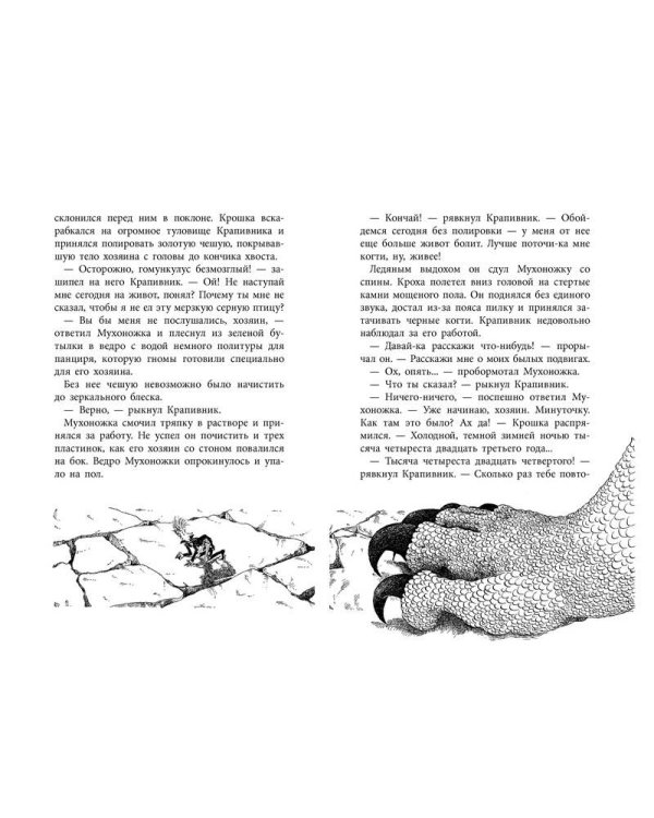 Дополнительное изображение книги «Повелитель драконов. Кн.1»