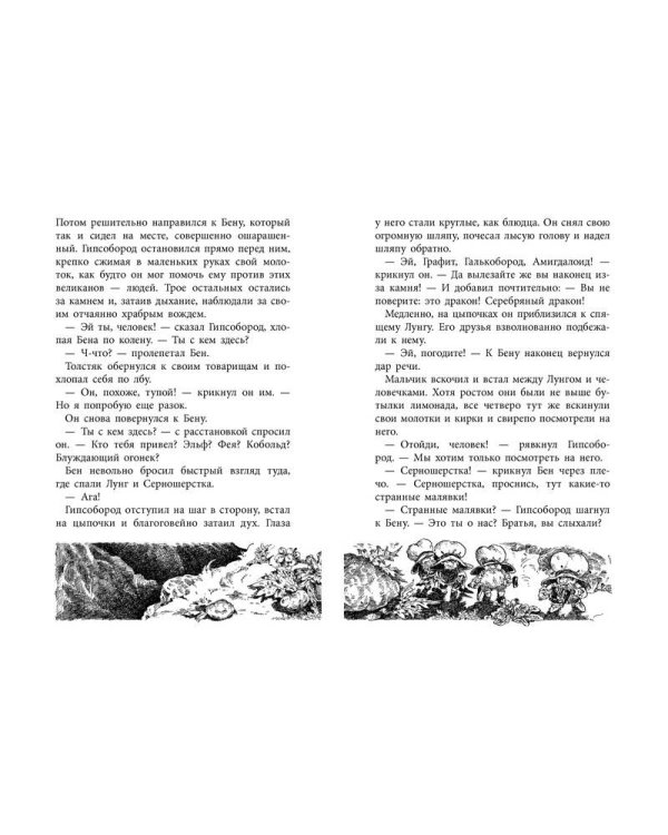 Дополнительное изображение книги «Повелитель драконов. Кн.1»