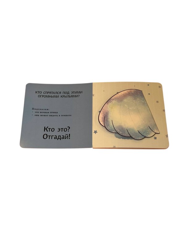 Интерактивные загадки. Кто здесь прячется? (коала)