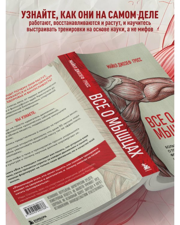 Все о мышцах. Большая история о том, как мышцы формируют нашу жизнь