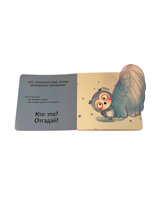 Интерактивные загадки. Кто здесь прячется? (коала)