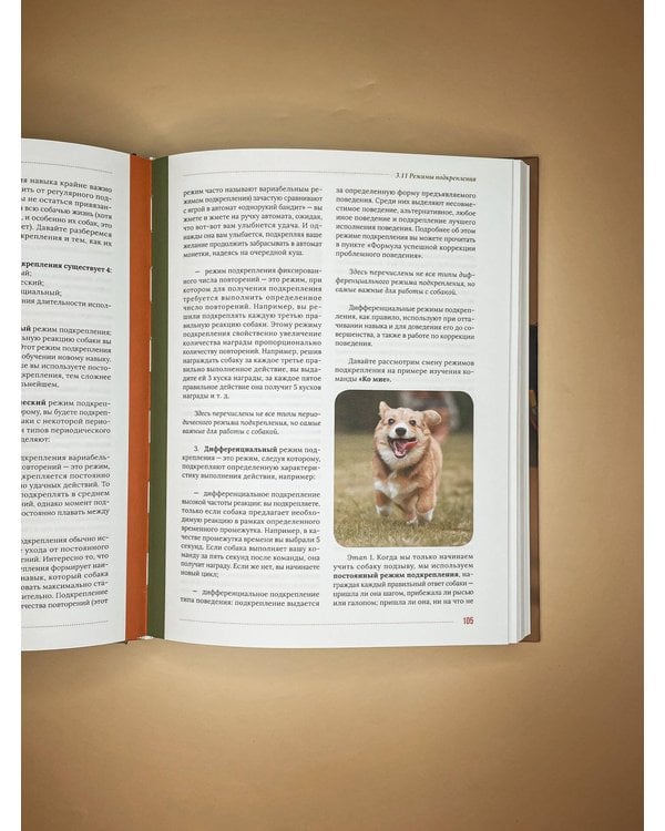 Дополнительное изображение книги «Главная книга владельца собаки»
