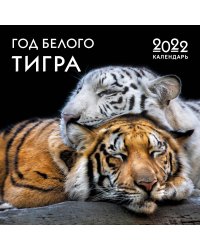 Год белого тигра. Календарь настенный на 2022 год (300х300 мм)