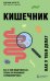 Кишечник. Как с ним подружиться, чтобы он правильно функционировал