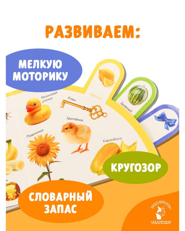 Цвета