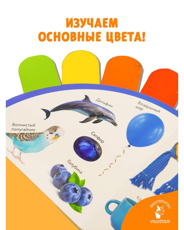 Цвета