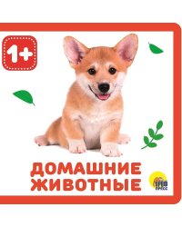 КНИЖКИ НА ПЕНЕ. ДОМАШНИЕ ЖИВОТНЫЕ