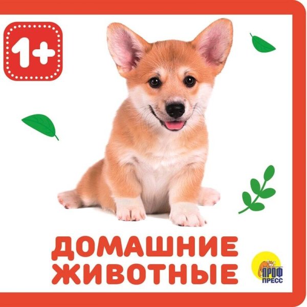 КНИЖКИ НА ПЕНЕ. ДОМАШНИЕ ЖИВОТНЫЕ