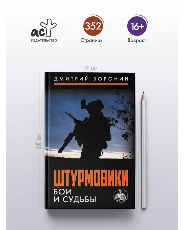 Дополнительное изображение книги «Штурмовики. Бои и судьбы»
