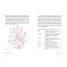 (Азбука) Тайные знания Тайные знания. Большой астрологический подарок на все случаи жизни . Комплект из 4-х книг. Светлый футляр