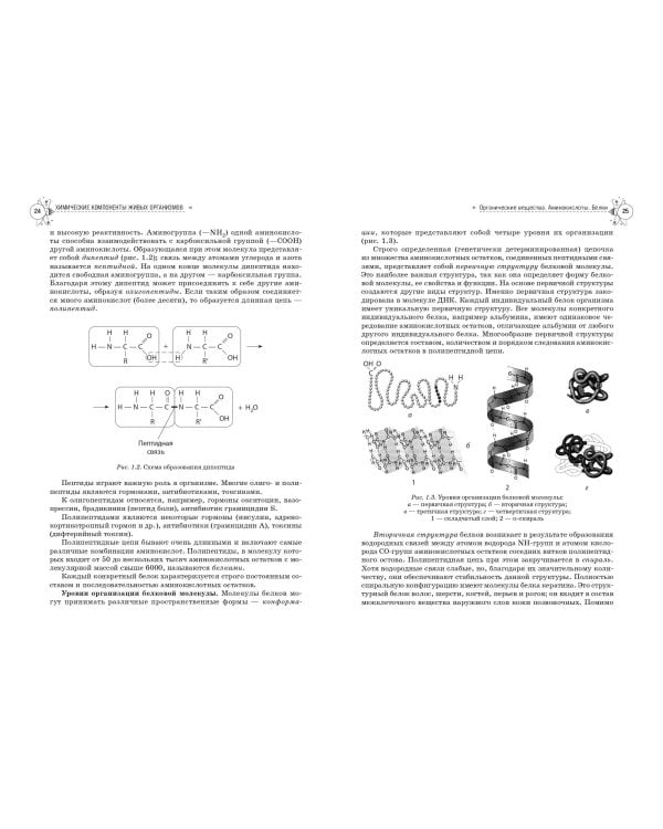 Биология. Справочник для подготовки к ЕГЭ, олимпиадам и поступлению в вуз