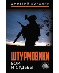 Штурмовики. Бои и судьбы