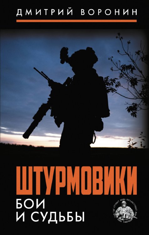 Обложка книги «Штурмовики. Бои и судьбы» — Воронин Дмитрий, ISBN 9785171893095