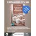 Грибная ферма для начинающих. От споры до прилавка
