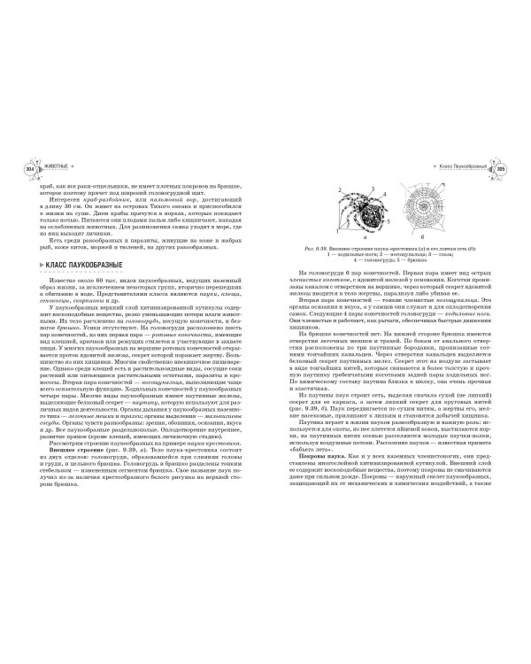 Биология. Справочник для подготовки к ЕГЭ, олимпиадам и поступлению в вуз