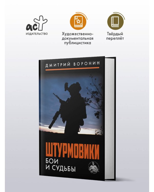 Дополнительное изображение книги «Штурмовики. Бои и судьбы»