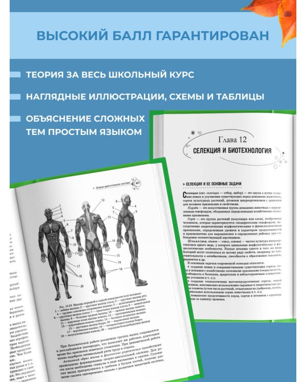 Биология. Справочник для подготовки к ЕГЭ, олимпиадам и поступлению в вуз