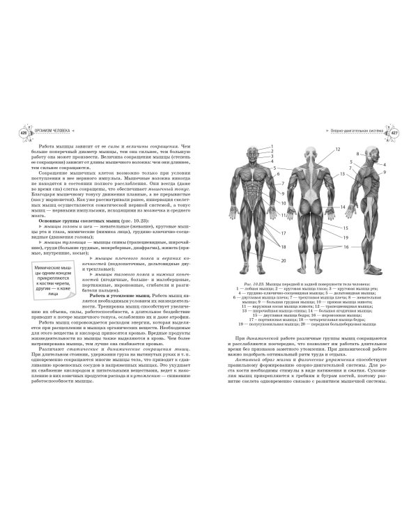Биология. Справочник для подготовки к ЕГЭ, олимпиадам и поступлению в вуз