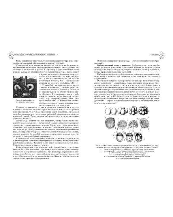Биология. Справочник для подготовки к ЕГЭ, олимпиадам и поступлению в вуз