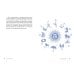 (Азбука) Тайные знания Тайные знания. Большой астрологический подарок на все случаи жизни . Комплект из 4-х книг. Светлый футляр