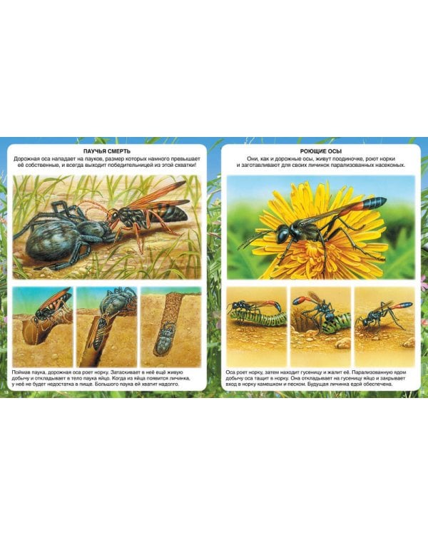 Самые маленькие животные (нов.оф.)