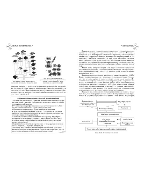 Биология. Справочник для подготовки к ЕГЭ, олимпиадам и поступлению в вуз