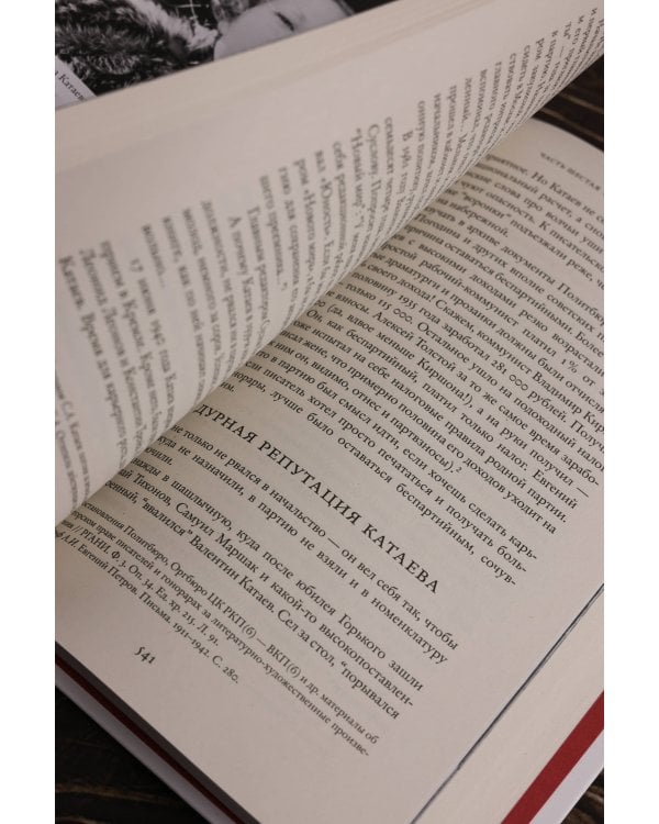 2 брата: Валентин Катаев и Евгений Петров на корабле советской истории