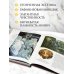 Дополнительное изображение книги «Искусство модерна и ар-нуво. Новое оформление (Климт)»