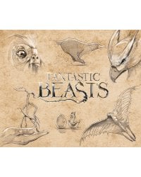 Скетчбук. Фантастические твари (твердый переплет, 96 стр., 240х200 мм)